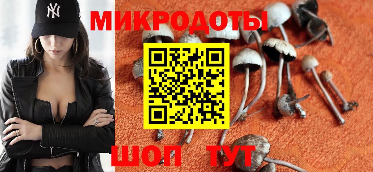 цена   Галлюциногенные грибы Magic Shrooms  Вход с VPN  Галлюциногенные грибы прущие грибы  Владикавказ 
