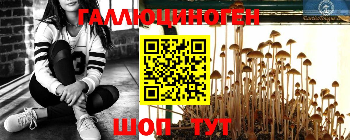 Галлюциногенные грибы MAGIC MUSHROOMS Владикавказ